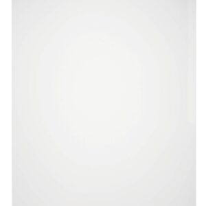 Durable STANDARD Pockets 100 Clear