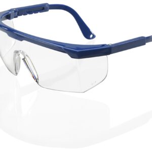 Beeswift Portland Safety Spectacles Clear