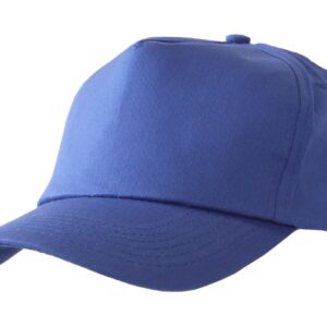 Beeswift Baseball Cap Royal Blue
