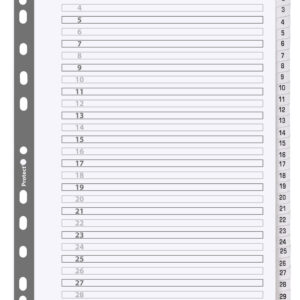 Exacompta Mylar Printed 160 GSM Indices A4 31 Part, 1 to 31 Numbered Tabs